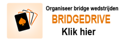 bridgedrive_banner